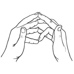 mudra-korova