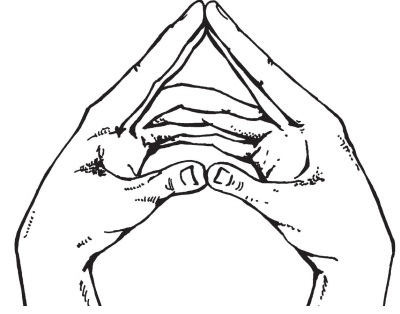 mudra-parjashhij-lotos