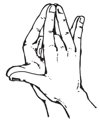 mudra-hram-drakona