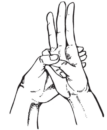 mudra-vody-2