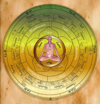 ajurveda