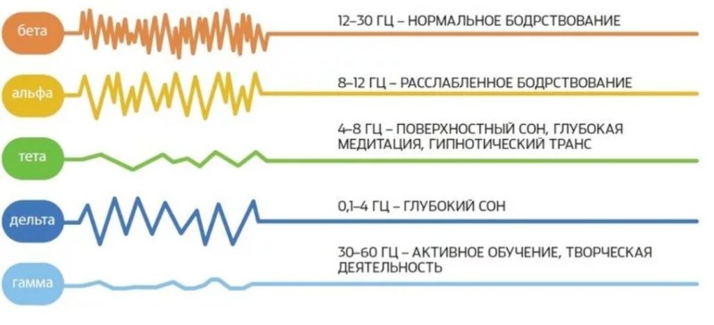 volnovaya-aktivnost-mozga