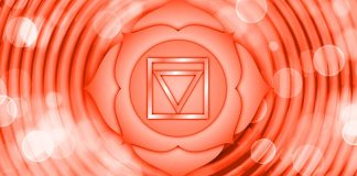 denezhnaya-chakra