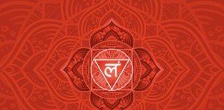 muladhara-chakra
