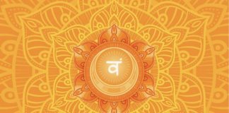 svadhistana-chakra