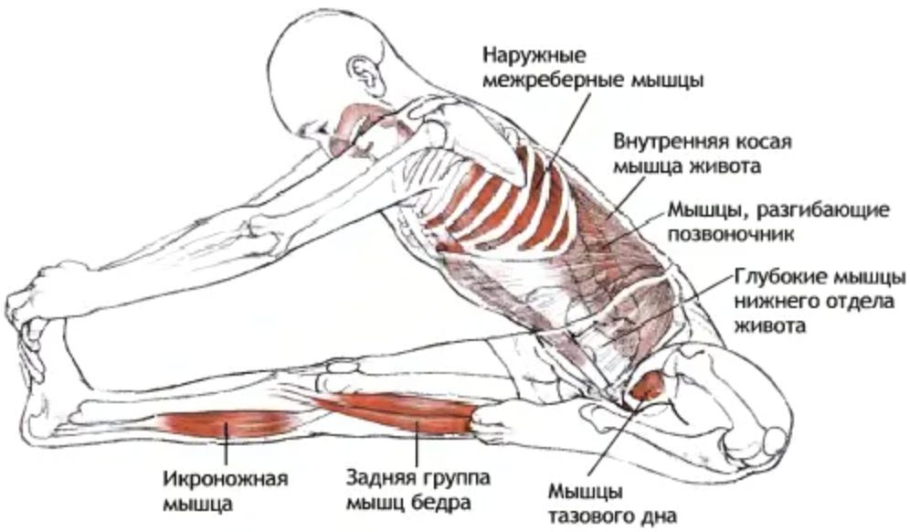 махамудра