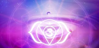 adzhna-chakra
