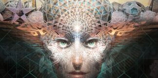 test-na-modalnost