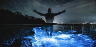 vyjti-v-astral-cherez-osoznannoe-snovidenie