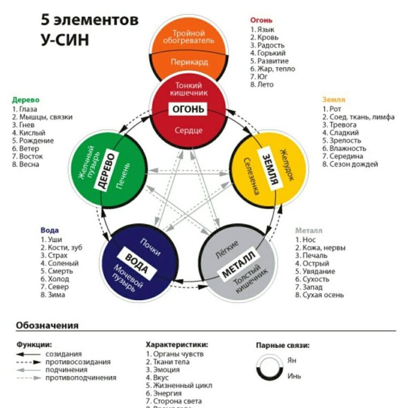 5-elementov-usin