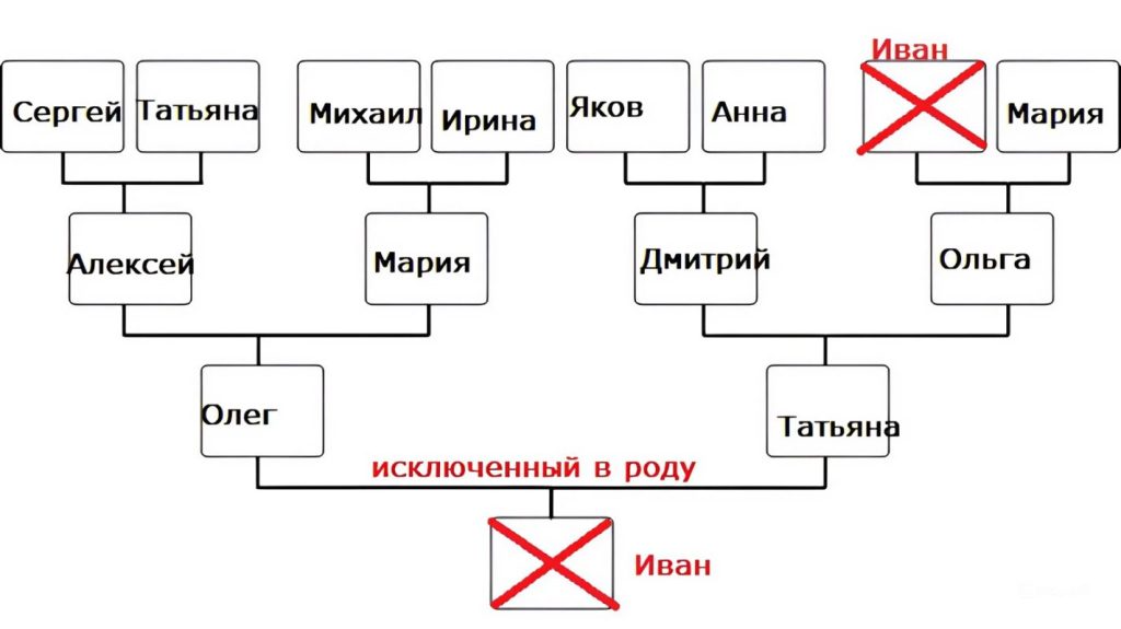 родовая структура